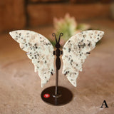 Kiwi Jasper Butterfly