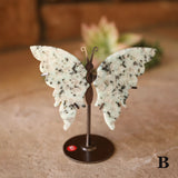 Kiwi Jasper Butterfly