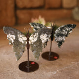 Moss Agate Butterfly